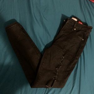 Celebrity Pink “The Rider”